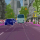 232068_web