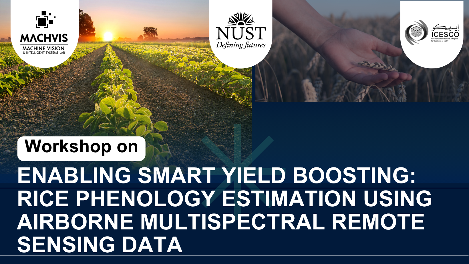 Enabling Smart Yield Boosting: Rice Phenology Estimation Using Airborne Multispectral Data
