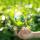 Environmental-Sustainability-Examples-Tips-to-Implement-Them
