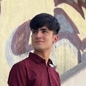 Faizyab Ali Shah